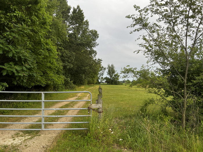 M-60 Drive-In Theatre - July 2 2022 Photo (newer photo)